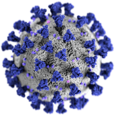Covid 19 Virus Illustration Small